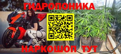 ECSTASY Гусь-Хрустальный