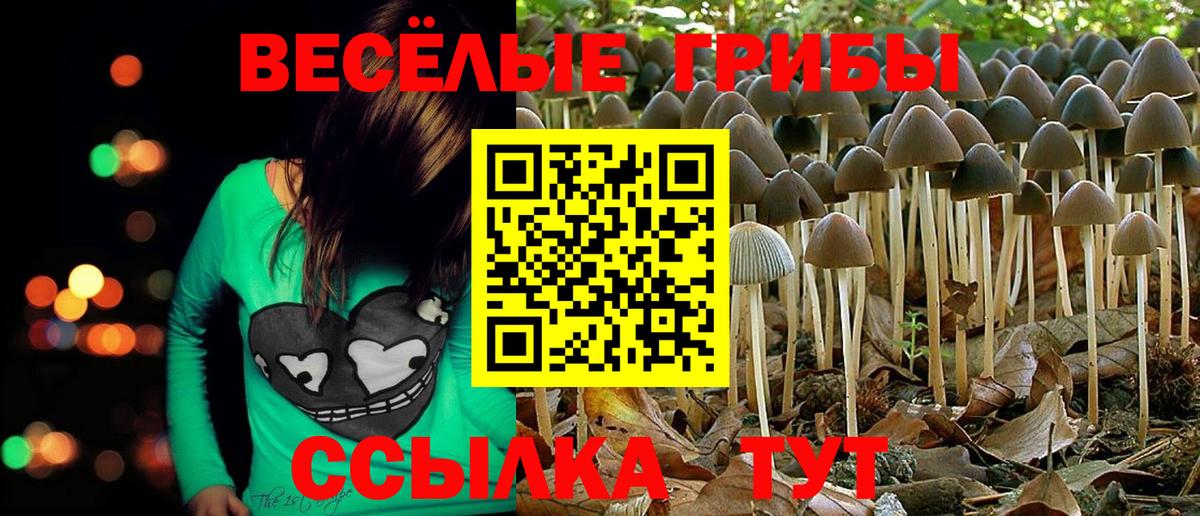 Галлюциногенные грибы Psilocybine cubensis  Вход с VPN  магазин    Новосибирск 