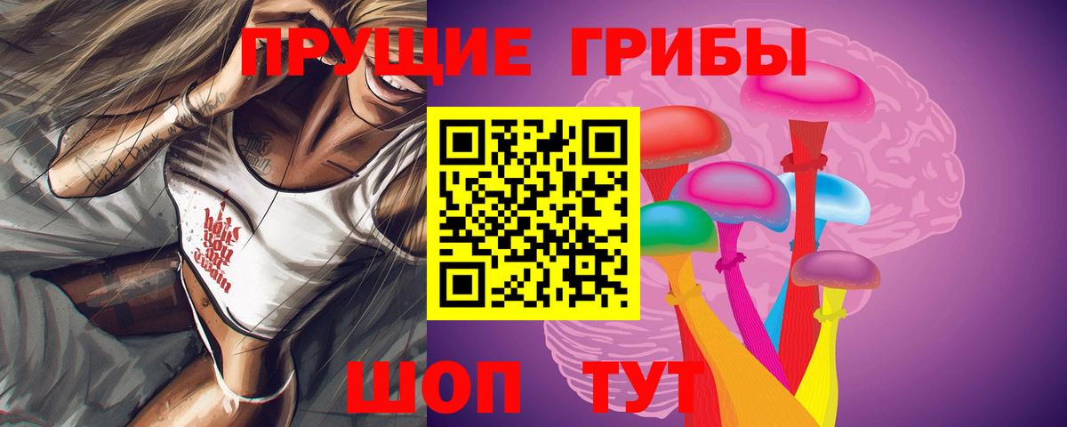 Псилоцибиновые грибы Cubensis Новосибирск